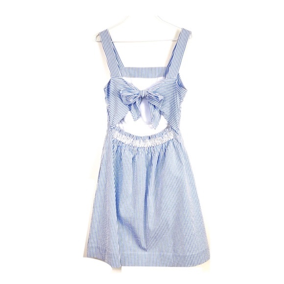 BNWT! J. Crew Seersucker Apron Dress, Size Large, White / Blue - Picture 6 of 6